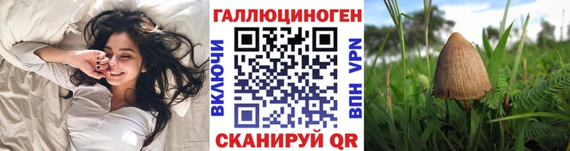кракен как зайти  Княгинино  Галлюциногенные грибы MAGIC MUSHROOMS  купить  